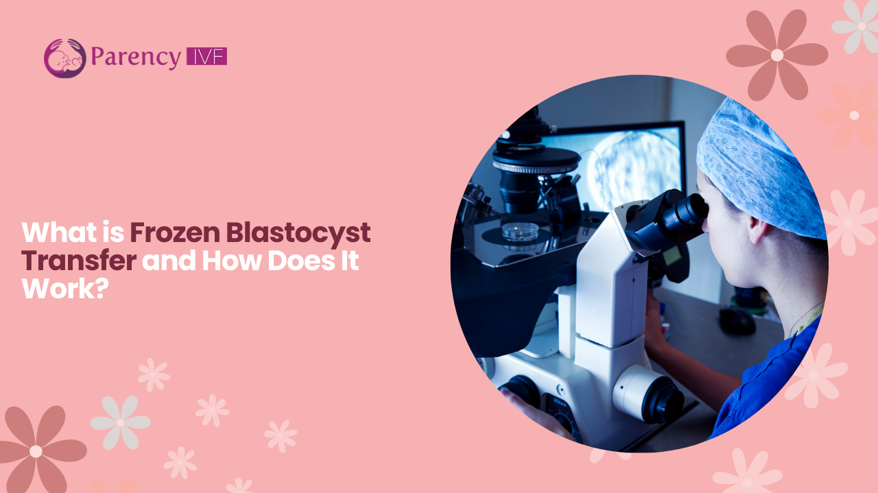 What is Frozen Blastocyst Transfer and How Does It Work?